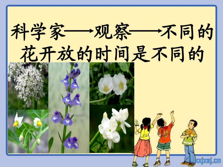 作文：观察中的发现_第1页