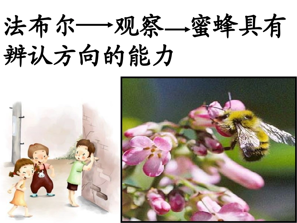 作文：观察中的发现_第2页