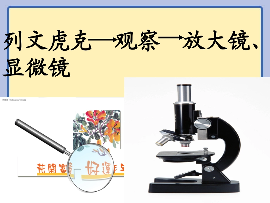 作文：观察中的发现_第3页