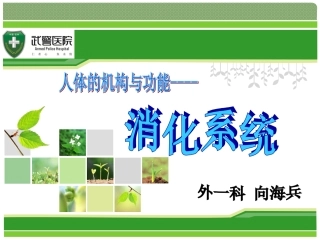 消化系统课件