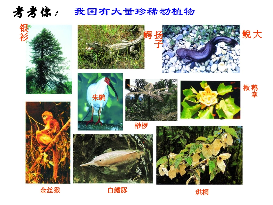 我国特有的珍稀物种_第3页