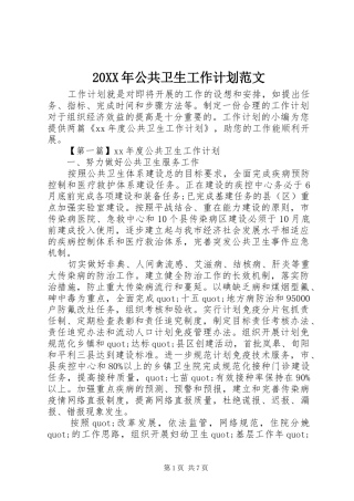 20XX年公共卫生工作计划范文 