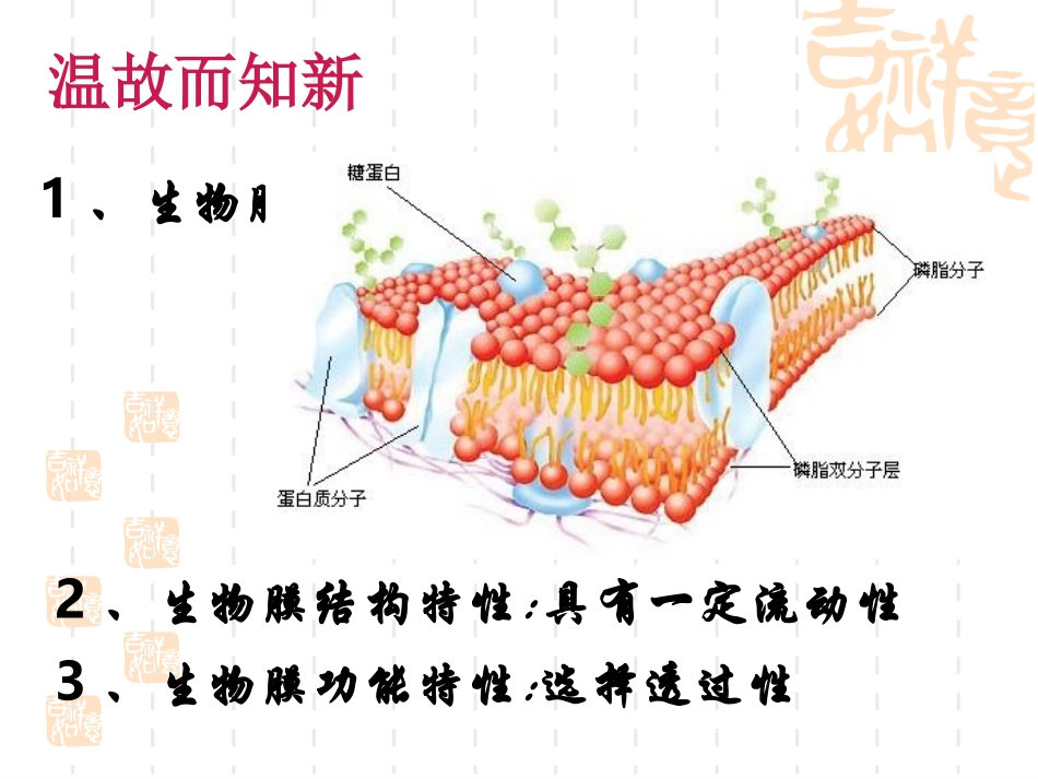 公开课物质跨膜运输的方式 ppt_第2页