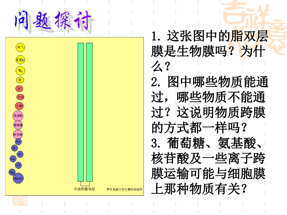 公开课物质跨膜运输的方式 ppt_第3页