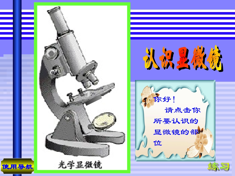 显微镜的结构_第3页