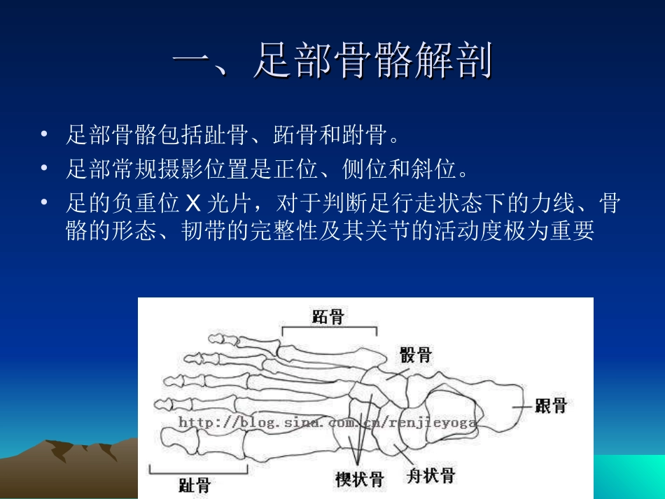 足踝部X线检查_第2页