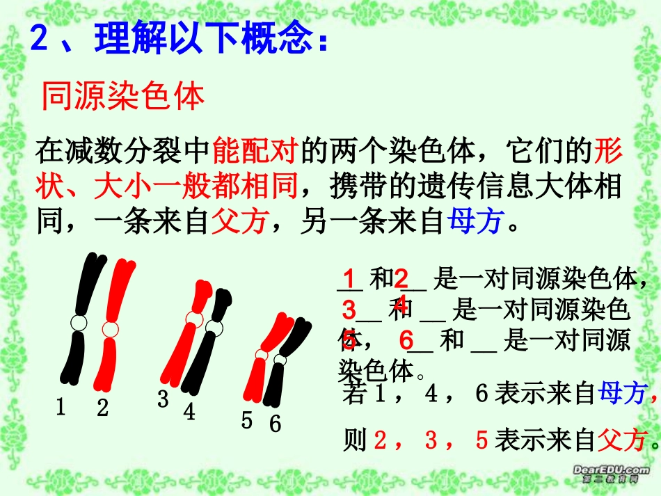 生物必修二第二章_第3页