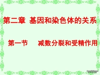生物必修二第二章