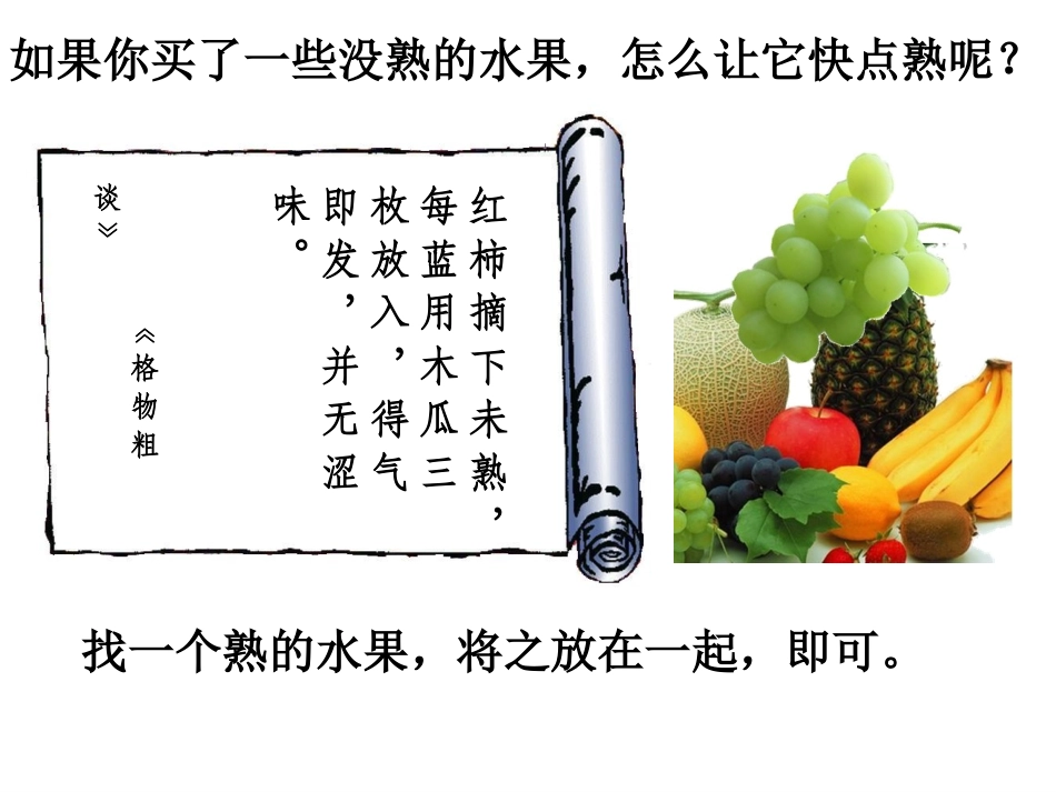 其他植物激素(最新)_第2页