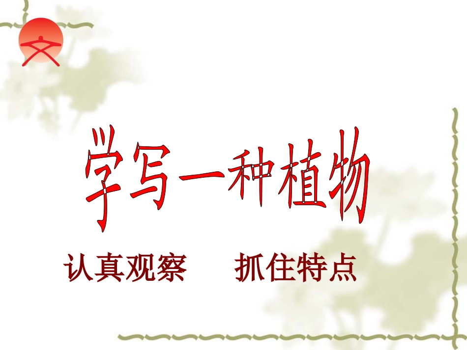 习作__学写一种植物向日葵_第1页