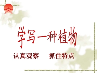 习作__学写一种植物向日葵