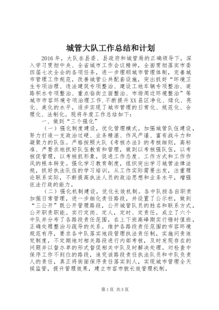 城管大队工作总结和计划 