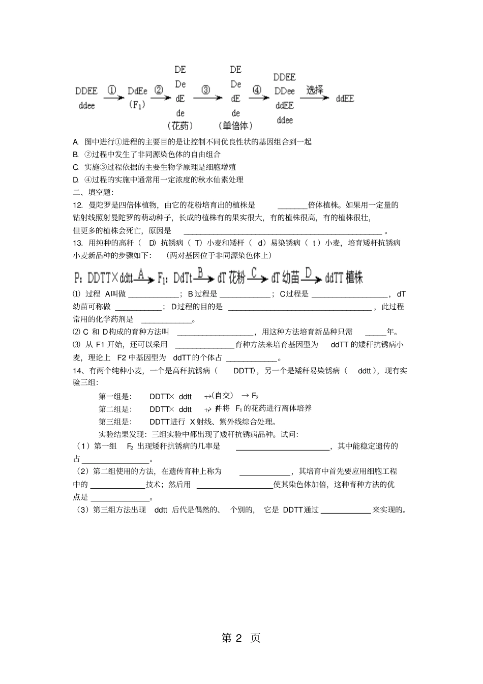 人教版高中生物必修二第1节杂交育种与诱变育种练习题无答案-学习文档_第2页