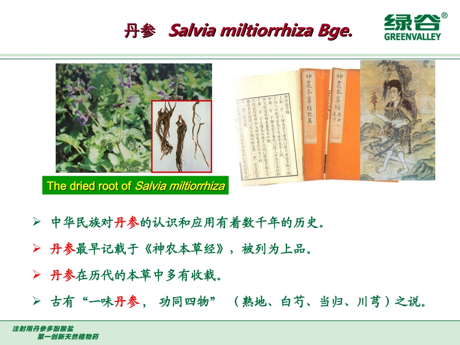 注射用丹参多酚酸盐_第2页