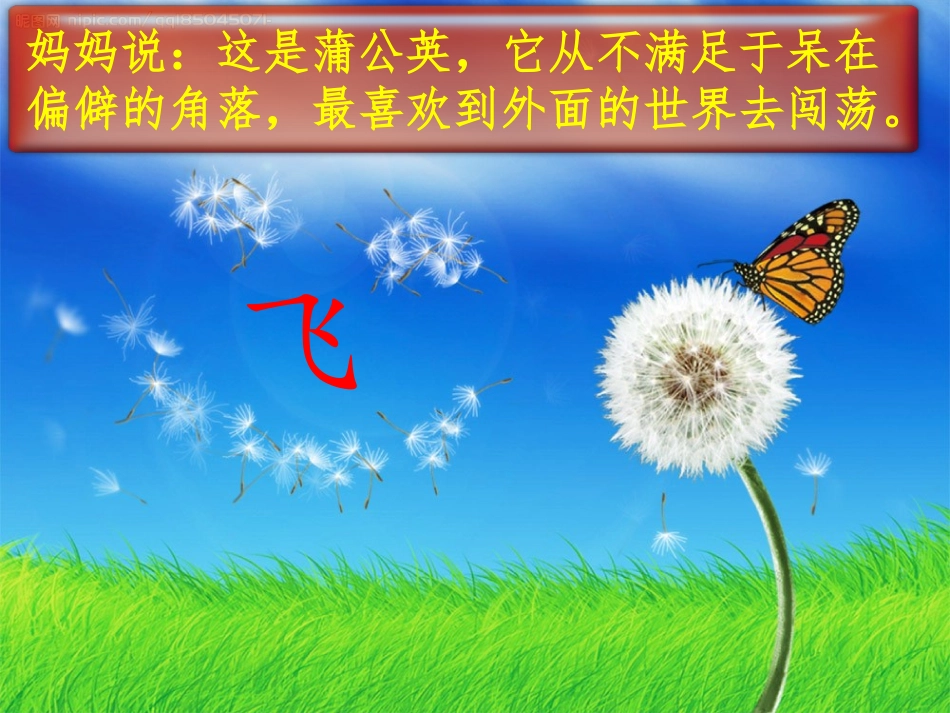 会飞的蒲公英_第3页