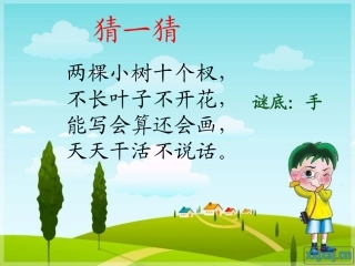 《6胖乎乎的小手》