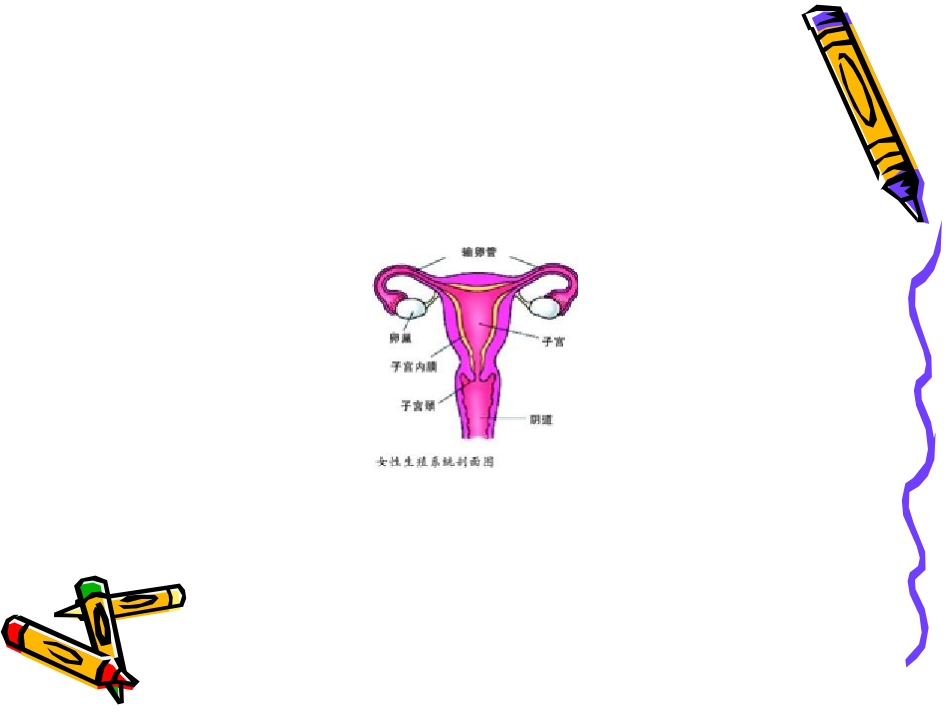 宫外孕护理查房_第2页
