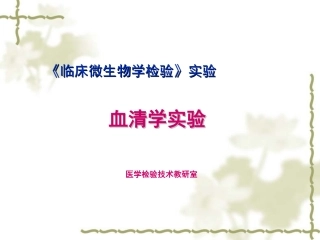 血清学鉴定实验