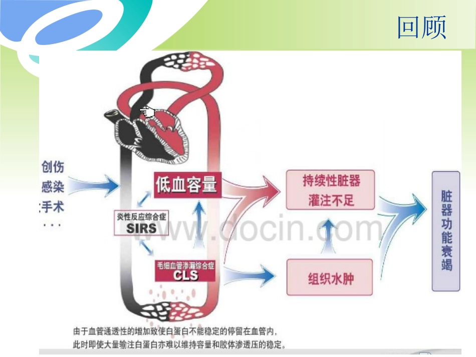 急性胰腺炎 液体复苏 潘道林_第3页