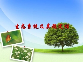 高三一轮复习 生态系统及其稳定性