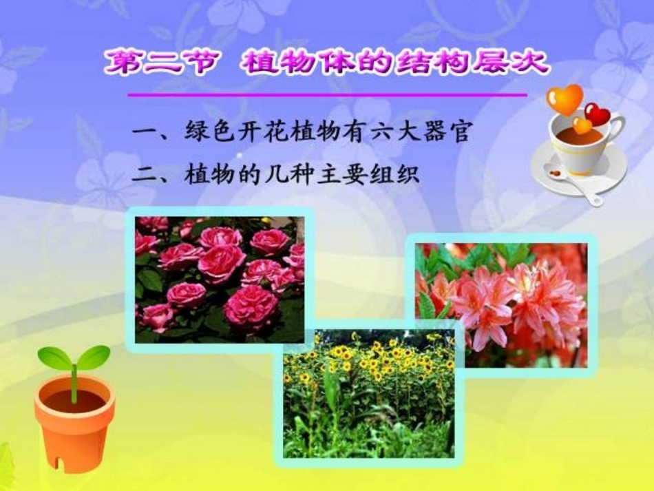 植物体的结构层次  ppt_第1页