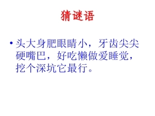 三个小伙伴课件