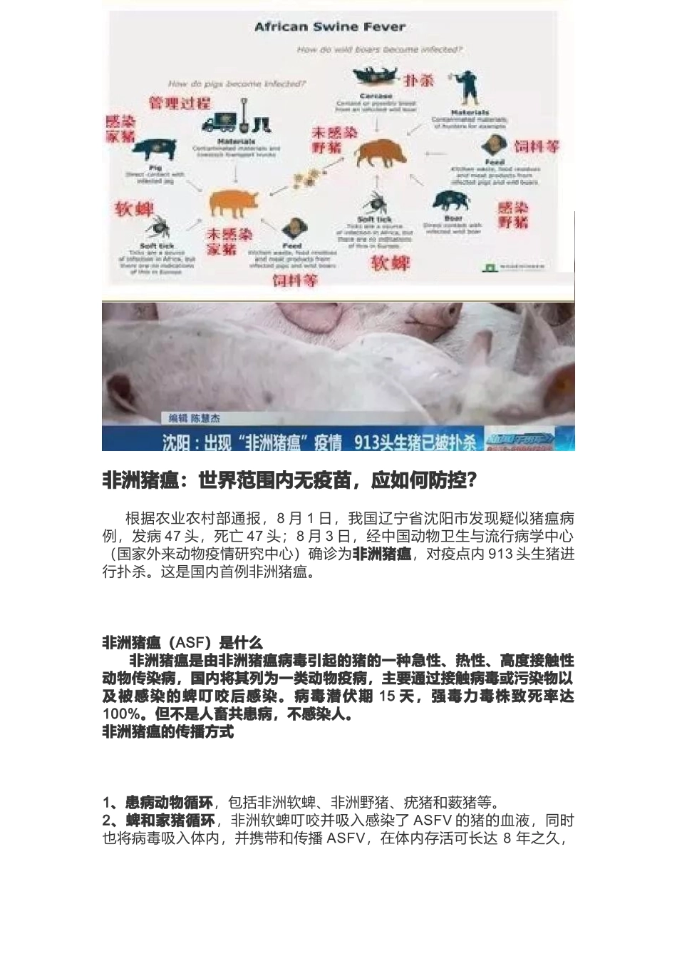 非洲猪瘟的防控_第1页