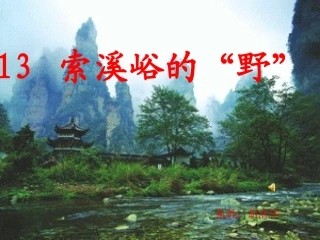 索溪峪的野课件 (2)