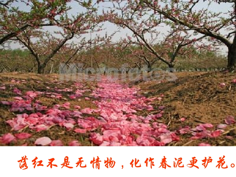 如何描绘诗歌中的画面_第3页
