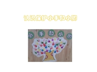 认识保护小手和小脚