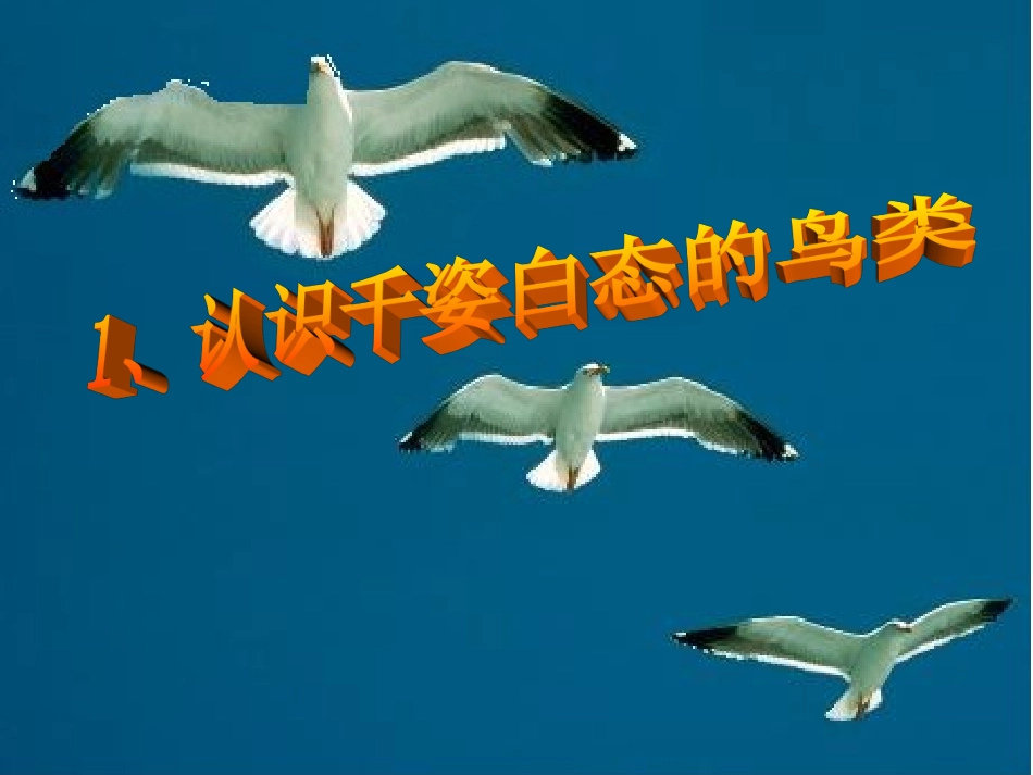 人教版八年级生物上册第一章六节《鸟》_第2页