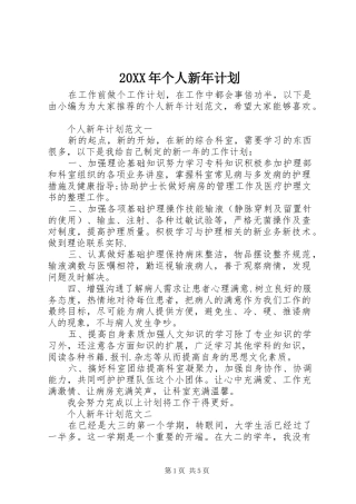 20XX年个人新年计划 