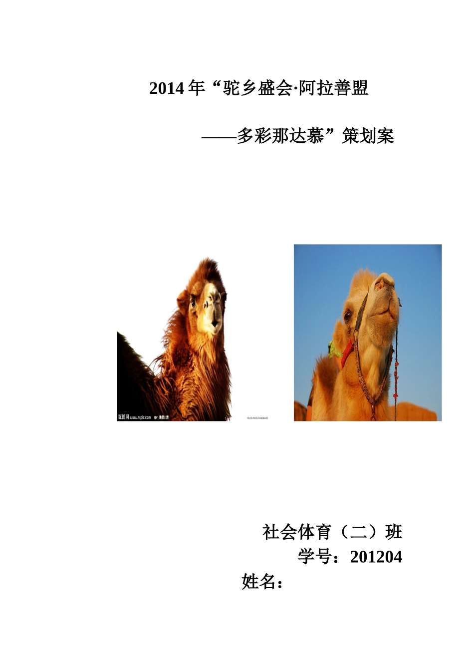 那达慕大会策划方案_第1页