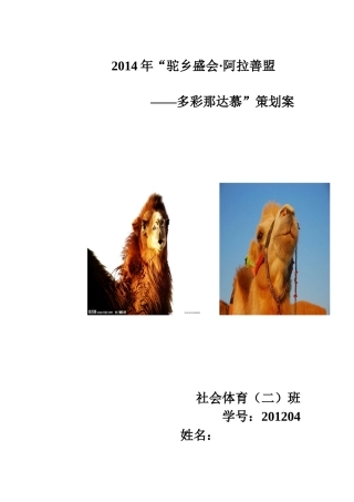 那达慕大会策划方案