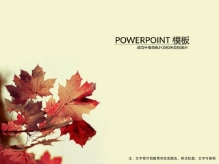 枫叶唯美实用PPT模板