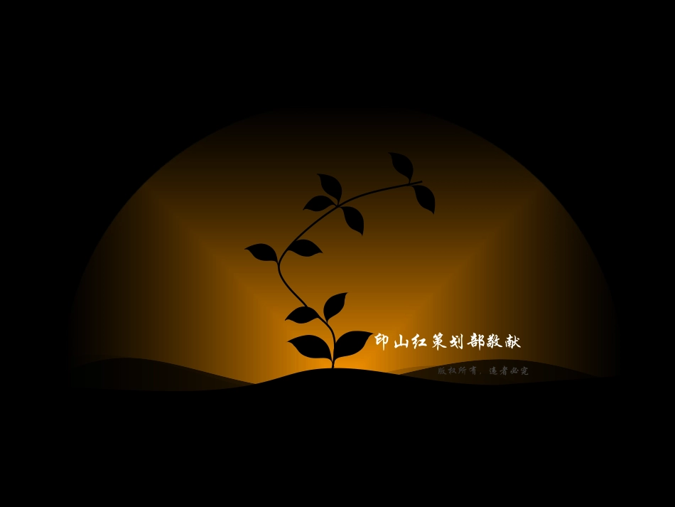 葡萄酒策划方案_第1页