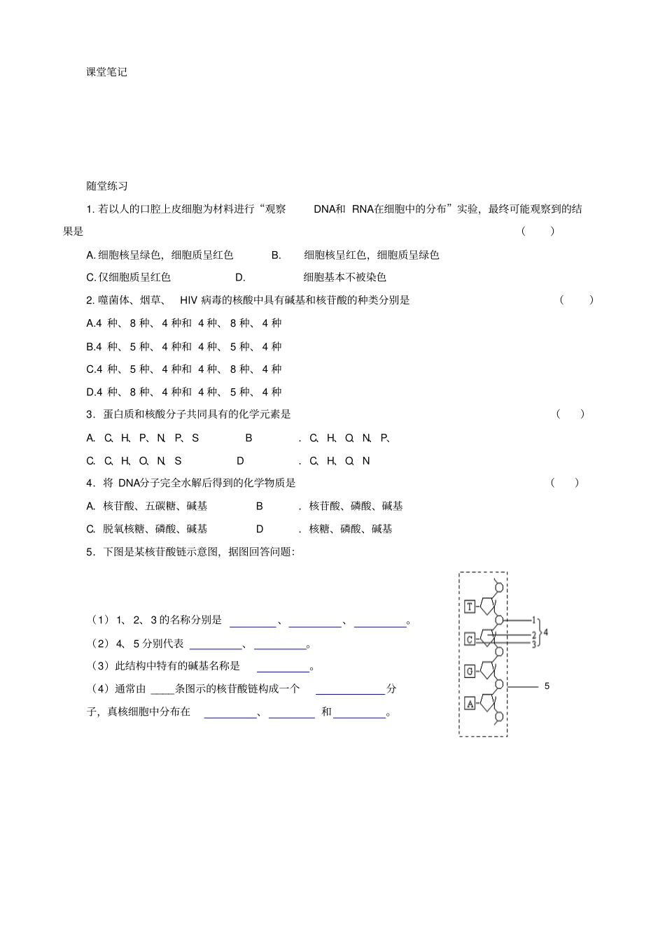 人教版高中生物高一必修一导学案：_组成细胞的分子__遗传信息的携带者—核酸_第3页