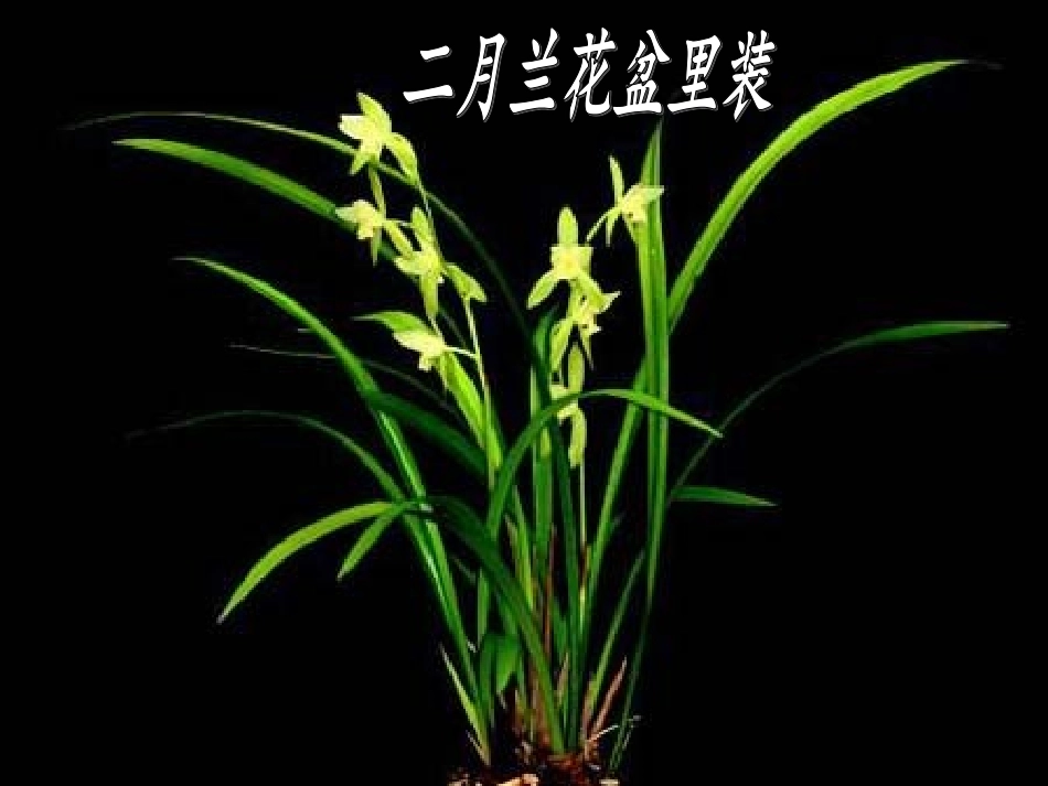 人教版四年级上册作文——观察日记_第2页