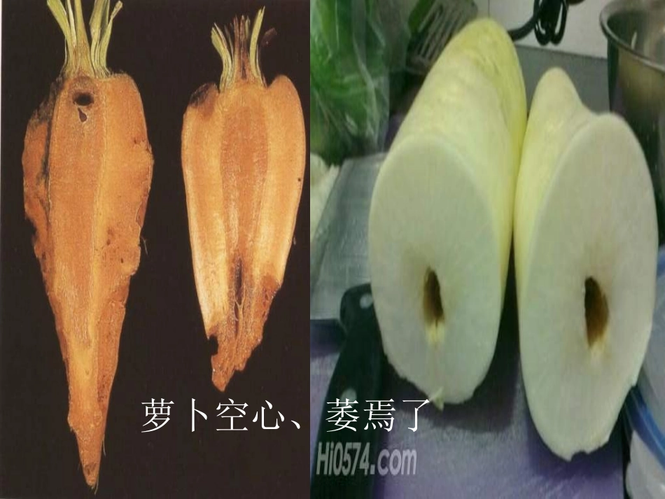 济南版七上《绿色植物的呼吸作用》ppt课件_第2页