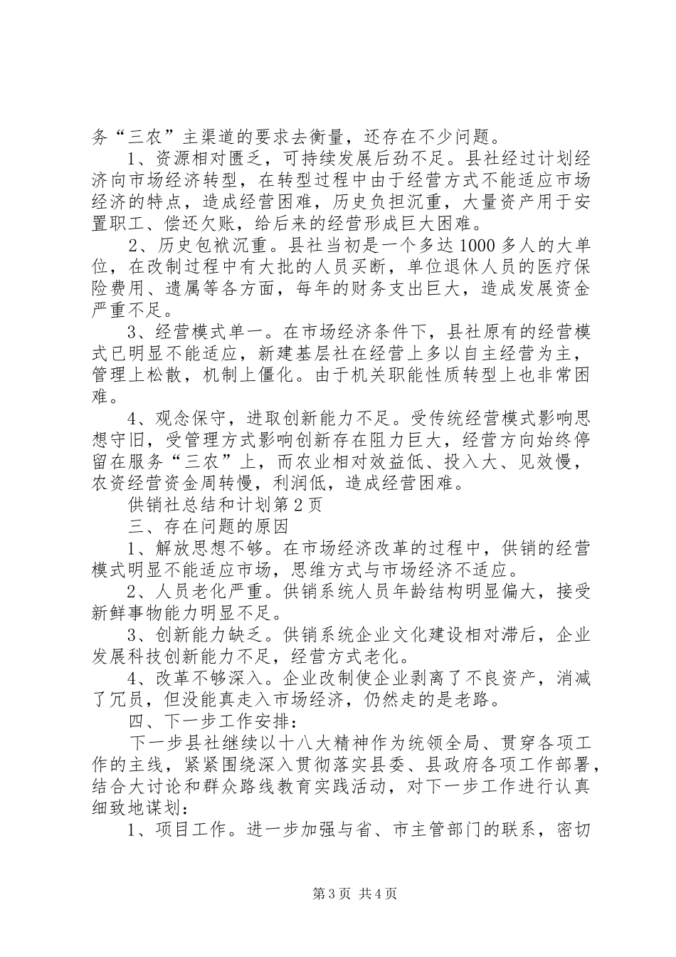 供销社总结和计划 _第3页