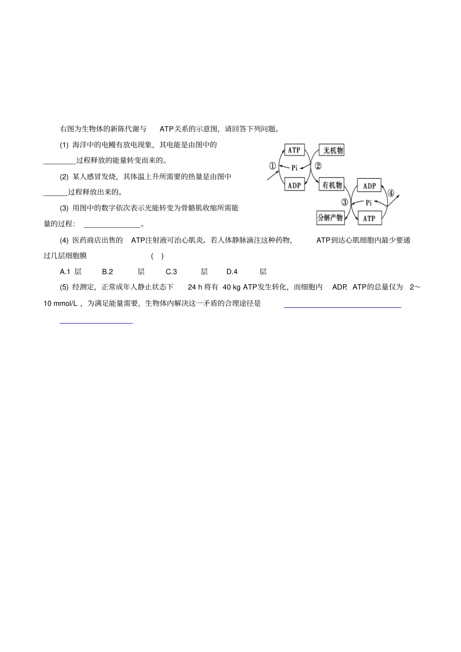 人教版高中生物高一必修一导学案：_细胞的能量供应和利用__细胞的能量通货—atp_第3页