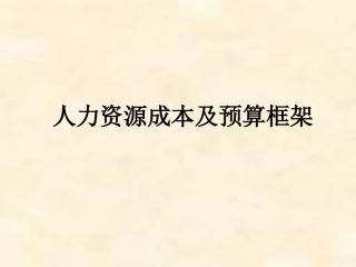 人力资源成本及预算框架