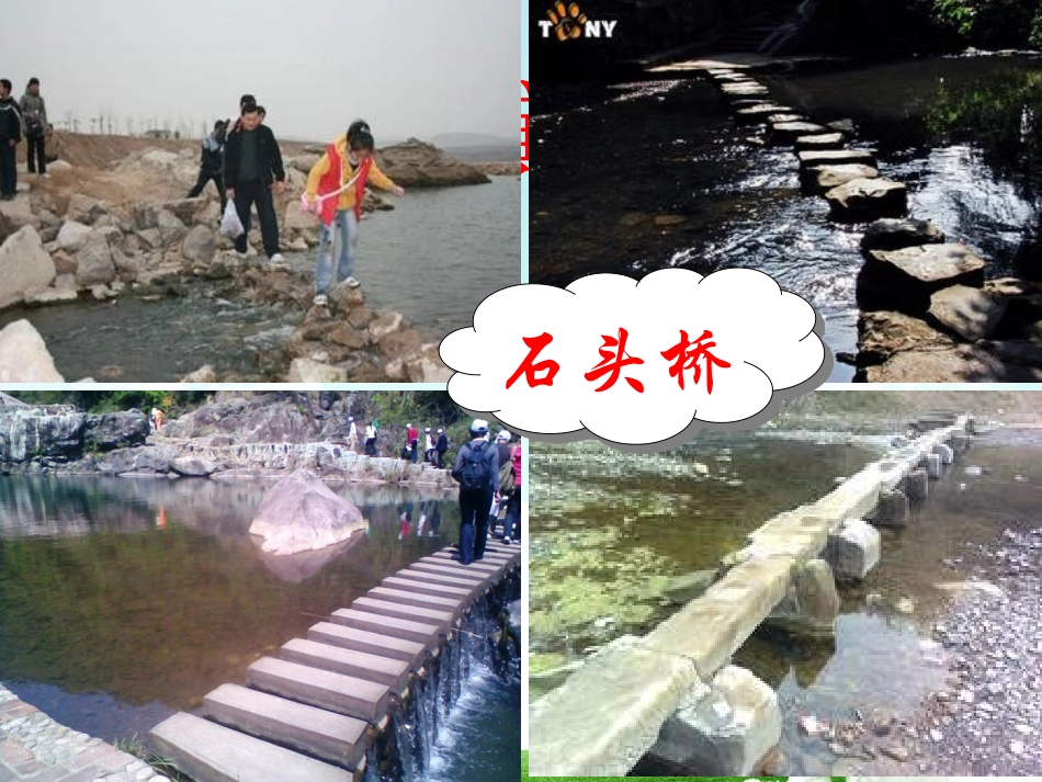 桥的形状与结构_第2页