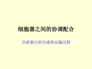 分泌蛋白的合成和运输过程