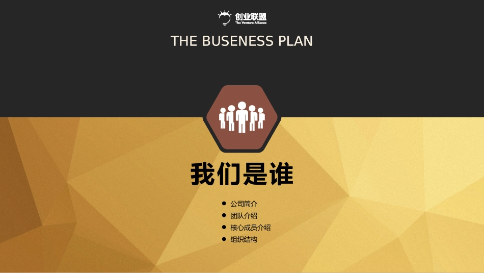 商业计划书-ppt_第3页