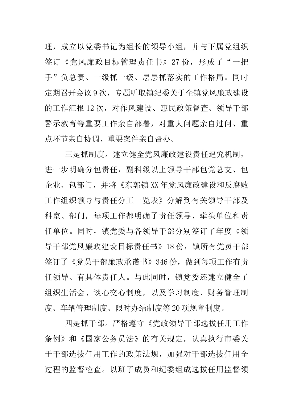 主体责任落实情况汇报精选_第2页