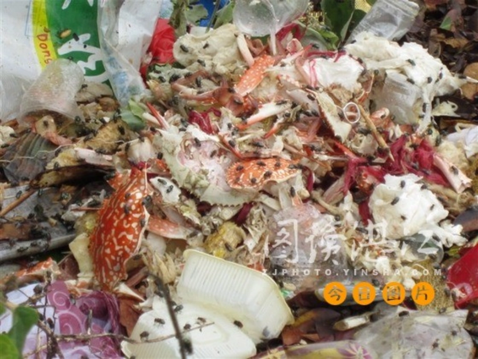 中班健康_夏季的卫生PPT_第3页