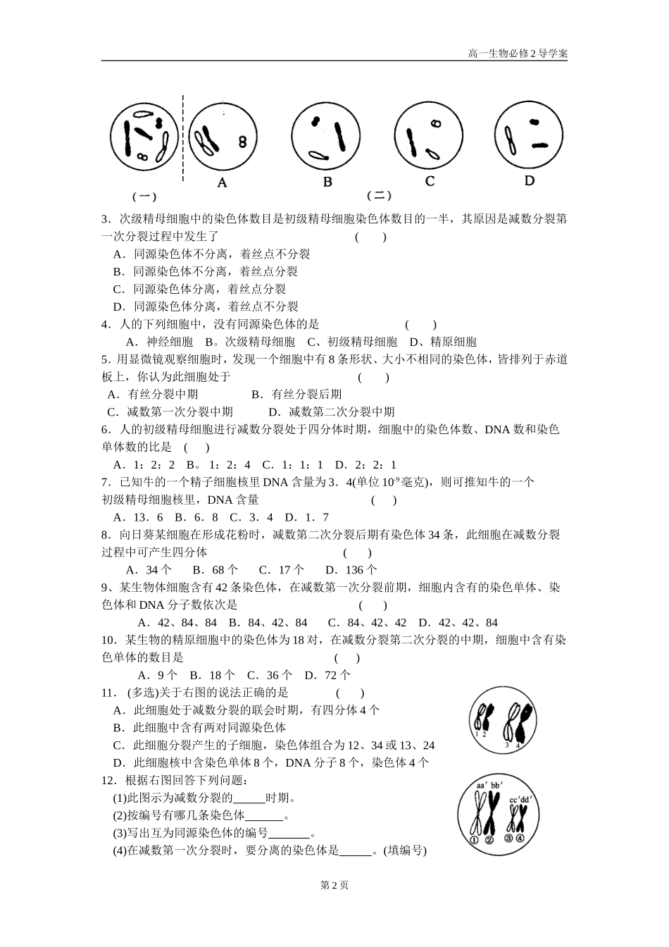 减数分裂和受精作用第1课时_第2页