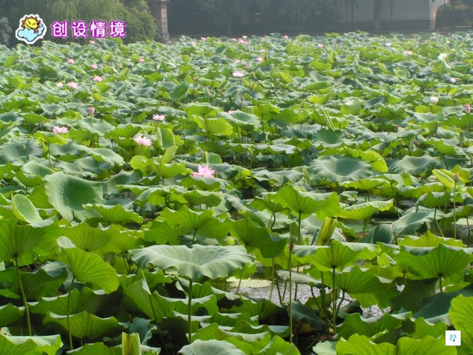 小学语文一年级上册S版《江南》PPT课件_第2页