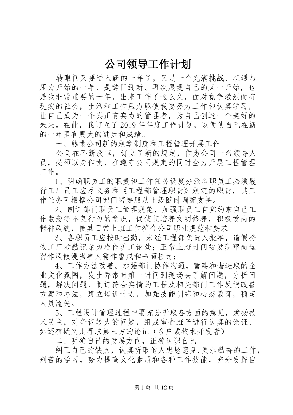 公司领导工作计划 _第1页